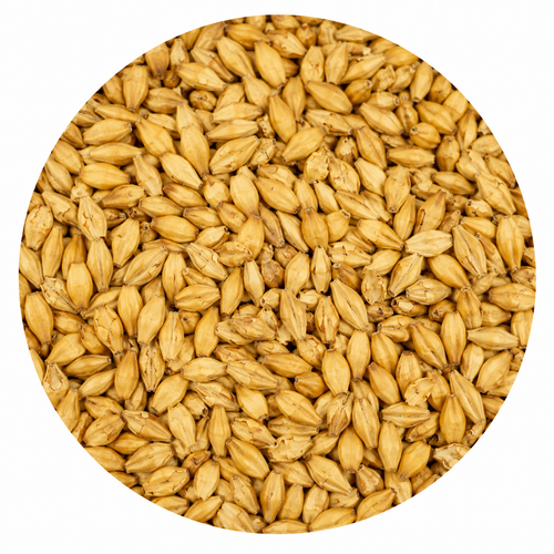 Avangard Malz Premium Vienna Malt 55 lb Crushed
