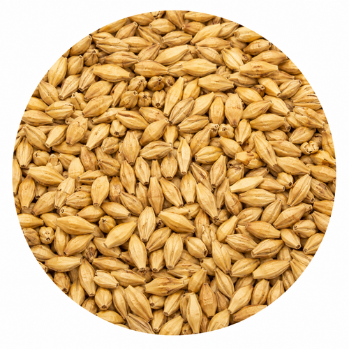 Swaen Ale Malt 55 lb Crushed