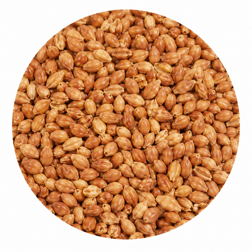 GoldSwaen Red Caramel Malt 55 lb Crushed