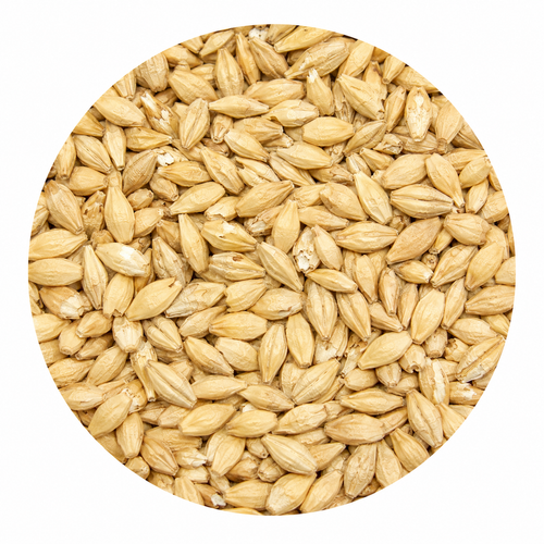 Warminster Maris Otter 1.9L Malt 55 lb Crushed