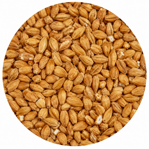Briess American Honey Malt 50 lb