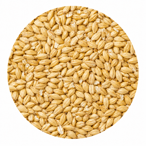 Raven Czech Bohemian Pilsner Malt 55 lb Crushed