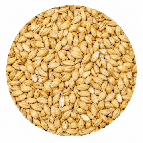 Montana Craft 2-Row Malt 55 lb