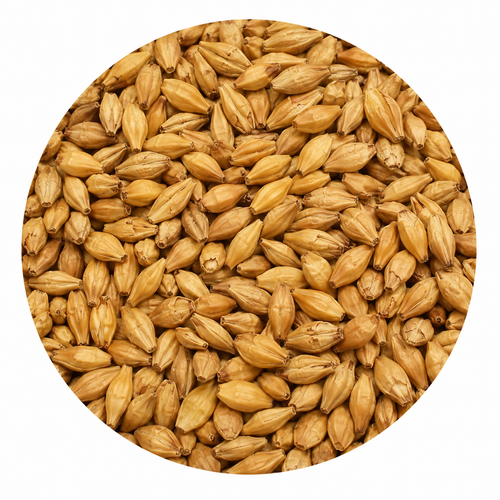 Briess Ashburne Mild Malt  50 lb