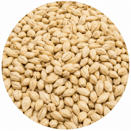 Montana Craft Malt Dextrin Malt 55 lb