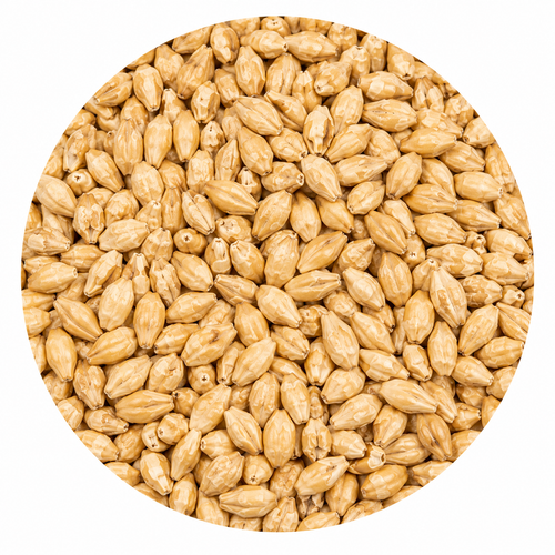 Montana Craft Malt Munich Light 55 lb Crushed