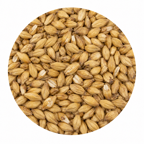 Malteurop 2-Row (2L) 55 LB