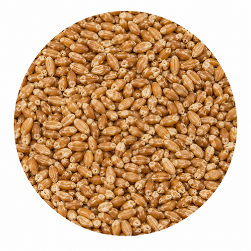 Briess Torrified Red Wheat 50 lb