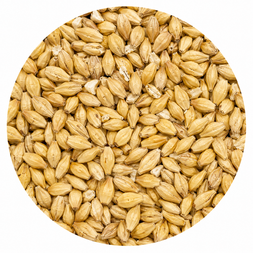 Briess 2-Row Brewers Malt 50 lb Crushed