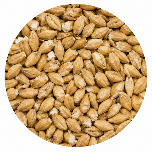 Briess Pilsen Malt 50 lb