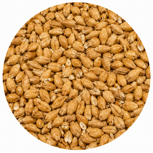 Gambrinus Honey Malt 55 lb Crushed