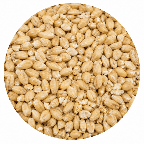 Briess Carapils Malt 50 lb