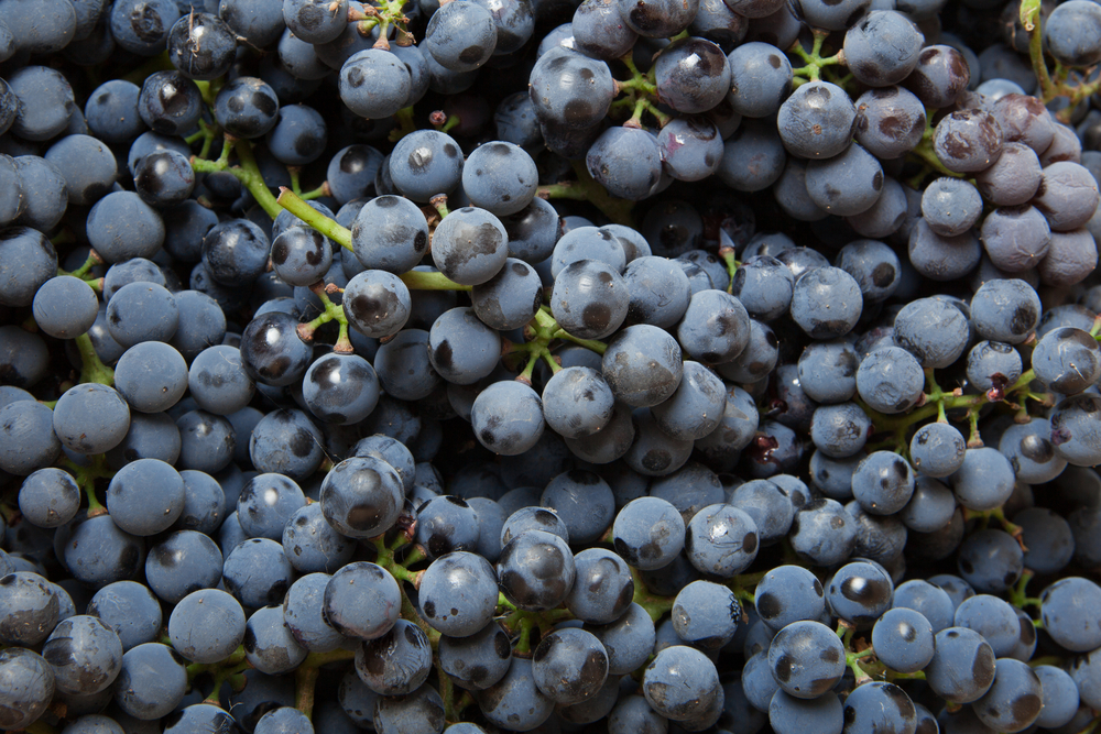 red grapes