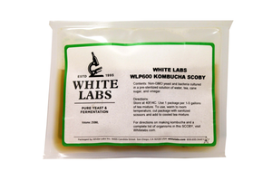 WLP600 White Labs Kombucha SCOBY