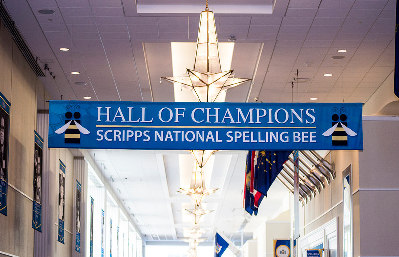 A History Of The National Spelling Bee Hexco Academic