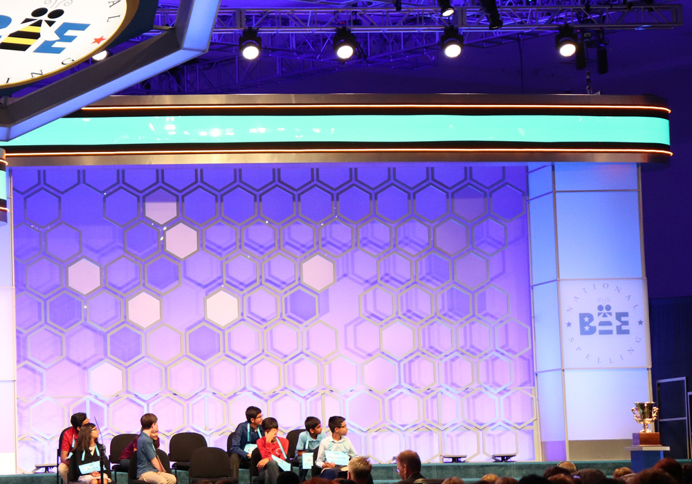 You are going to the National Spelling Bee. Now what?