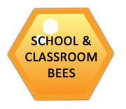 school and classroom spelling bee