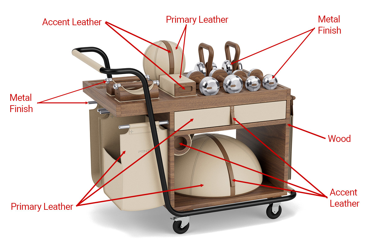 SOPHIA Fitness Cart Options by PENT Fitness for Jack Game Room