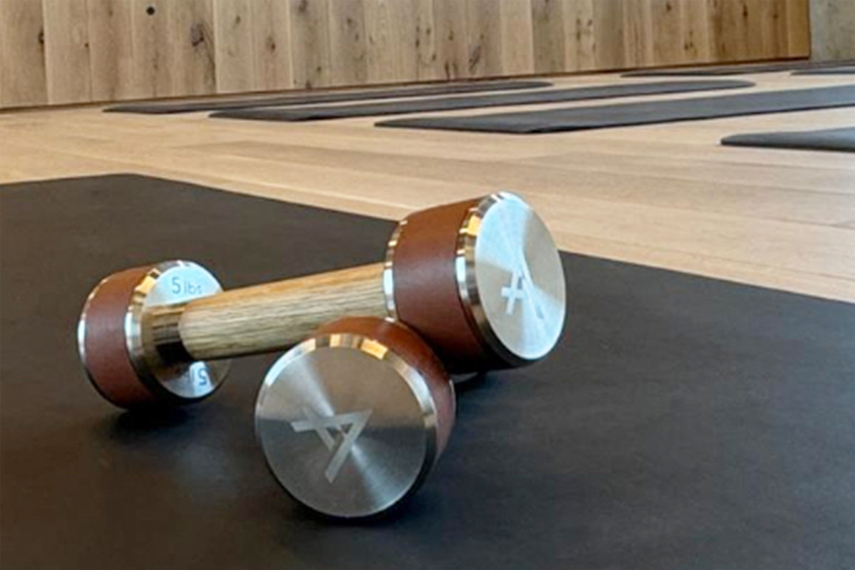 Fysik NAK Dumbbell Pairs by Fysik for Jack Game Room