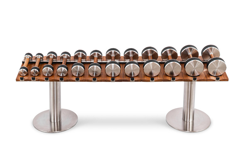 NAK Light Dumbbell Set by Fyisk for Jack Game Room