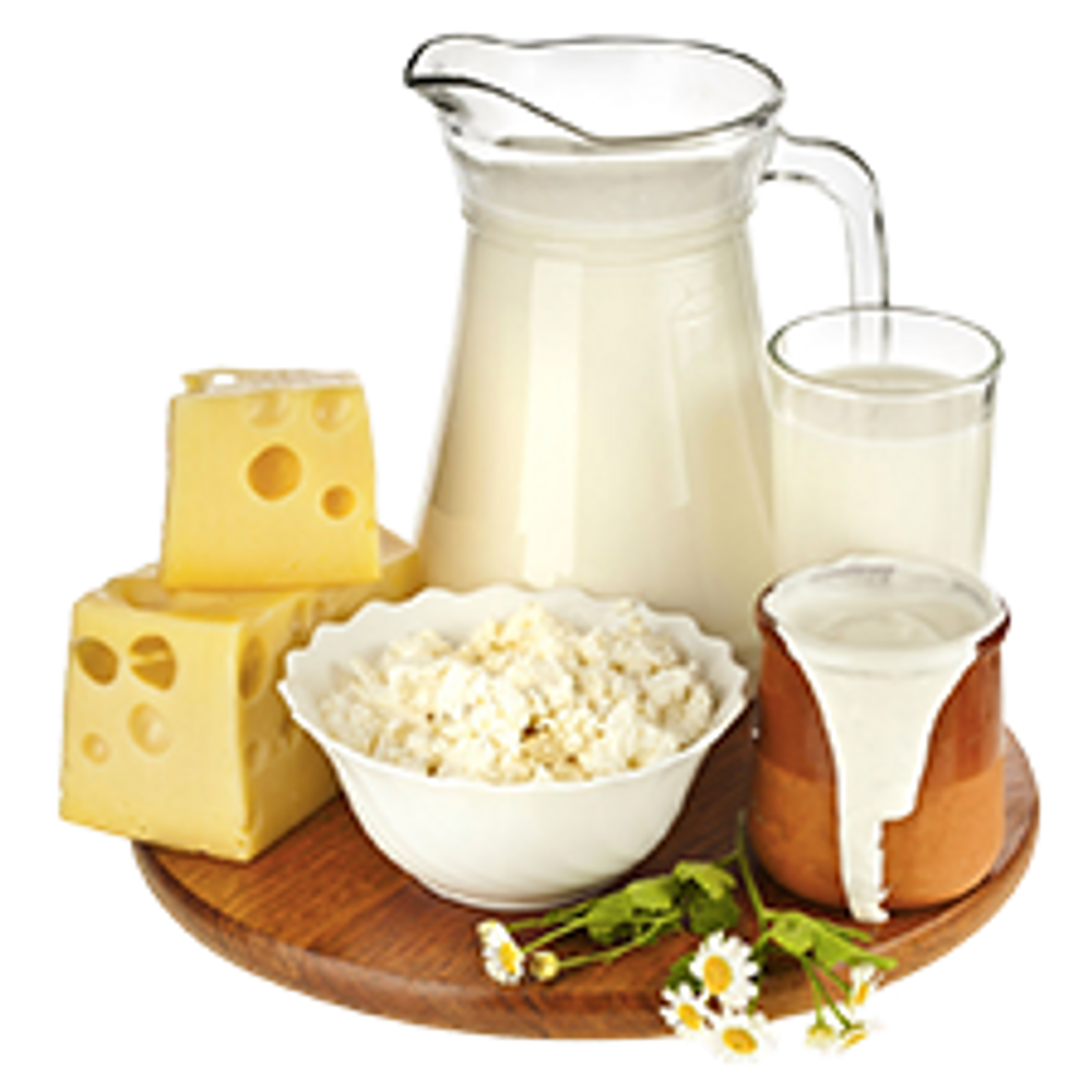 Dairy