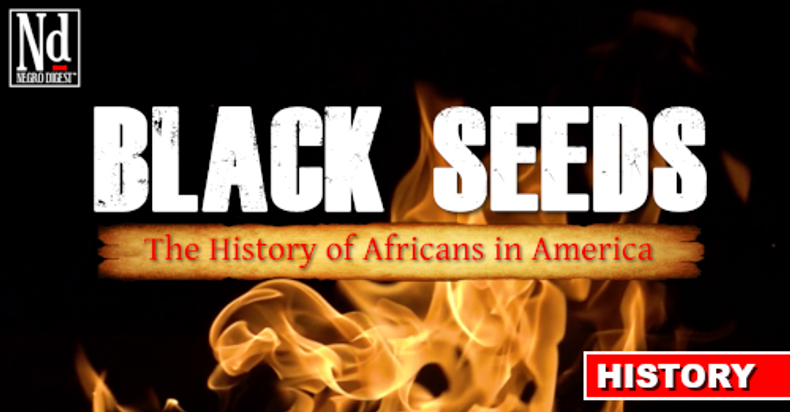 AWARD-WINNING DOCUMENTARY 'BLACK SEEDS' On Amazon Prime