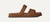 UGG GoldenGaze Slide Dark Chestnut