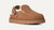 UGG Goldenstar Evelina Clog Chestnut