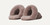 UGG Scuffette II Caribou