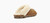 UGG Coquette Slipper Chestnut