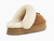UGG Disquette Chestnut
