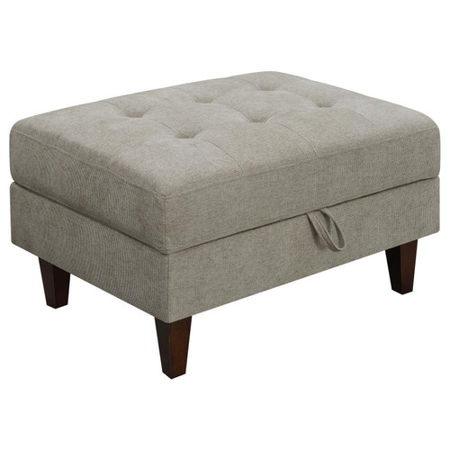 Barton Storage Ottoman Pearl Silver