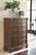 North Shore Dark Brown 10 Pc. Dresser, Mirror, Chest, California King Poster Bed with Canopy & 2 Nightstands