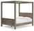 Shallifer Brown Queen Canopy Bed