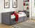 Trina Daybed Gray