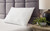 Zephyr 2.0 White Cotton Pillow (Set of 2)(9/CS)
