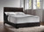 Conner Queen Bed Brown