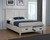 Franco Panel Queen Bed White Wood