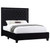 Hailey Queen Bed Black