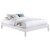 Hounslow Queen Bed White