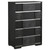 Blacktoft Chest