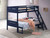 Littleton Twin over Full Bunk Bed Blue