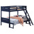 Littleton Twin over Full Bunk Bed Blue