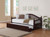 Julie Ann Arched Back Twin Day Bed With Trundle Brown