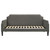 Olivia Daybed Gray