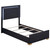 Marceline Twin Bed Black