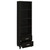 Lewes 2-Drawer Media Tower Cappuccino