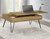 Fanning - Engineered Wood Lift Top Coffee Table - Golden Oak