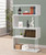 Emelle - 4-Shelf Glass Panel Bookshelf - White