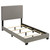 Dorian - Fabric Upholstered Twin Panel Bed - Taupe